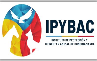 Cundinamarca: Pionero en protección y cuidado animal