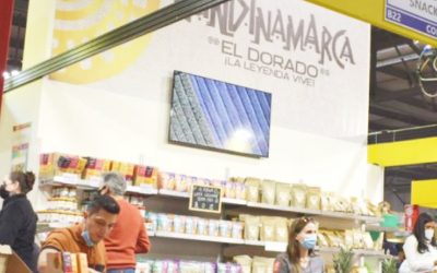 Empresas de Cundinamarca más cerca de la internacionalización