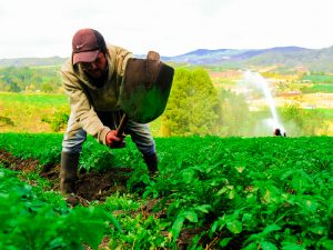 La RAP-E participa en proyecto radial que rinde homenaje a los campesinos boyacenses _destacada