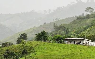 El Huila es pionero en Ordenamiento Productivo y Social de la Propiedad Rural
