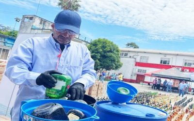 Gobernación inició proceso de destrucción de productos ilegales en el Tolima