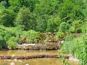 Proponen transferir la jurisdicción ambiental de los municipios en el departamento de Cundinamarca a la CAR y a la CORPOGUAVIO