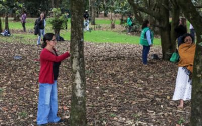 Bogotá está lista para ofrecer “Baños de Bosque” como opción terapéutica y con personal certificado