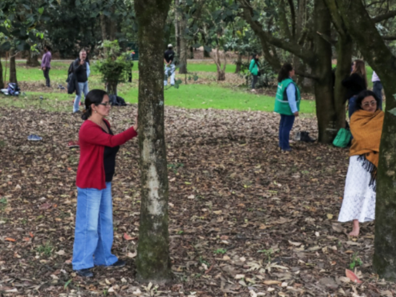 Bogotá está lista para ofrecer “Baños de Bosque” como opción terapéutica y con personal certificado
