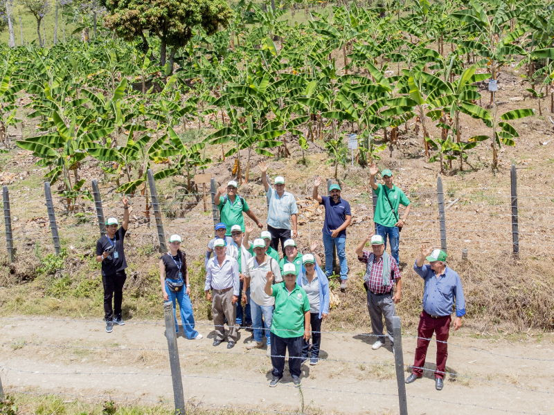 Proyecto para reducir las pérdidas poscosecha en la cadena hortofrutícola, beneficia a familias agricultoras del Huila