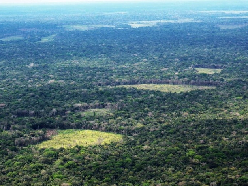 Cormacarena ejemplo nacional en la conservación de los bosques durante 4 años