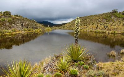 ¡Vamos a consolidar a la Región Central como un destino turístico para el mundo!