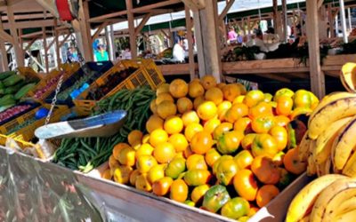 Mercados Campesinos: frutas frescas, legumbres, hortalizas y productos orgánicos