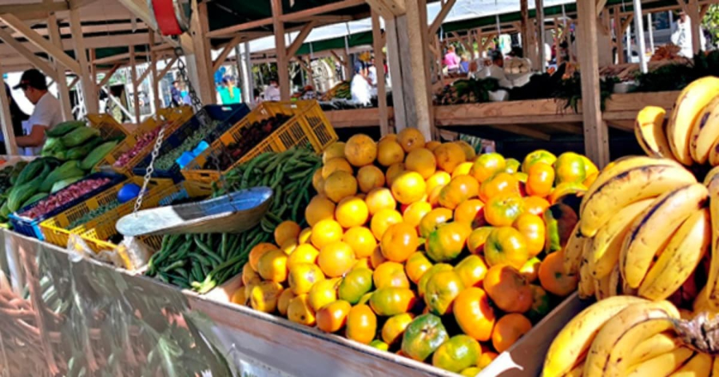 Mercados Campesinos: frutas frescas, legumbres, hortalizas y productos orgánicos