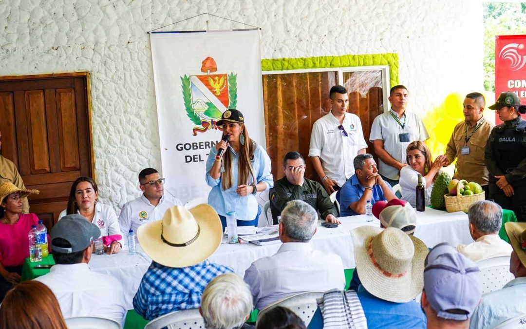 Mas de $4.000 millones serán invertidos en plantas de maíz que impulsarán el sector agropecuario en el Tolima