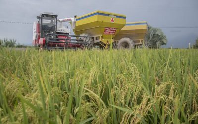 $150.000 millones para maquinaria destinada al campo huilense