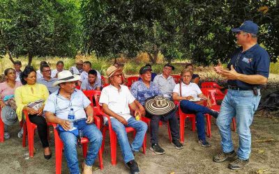 Deshidratador solar en El Espinal (Tolima), un hito tecnológico en el centro del país