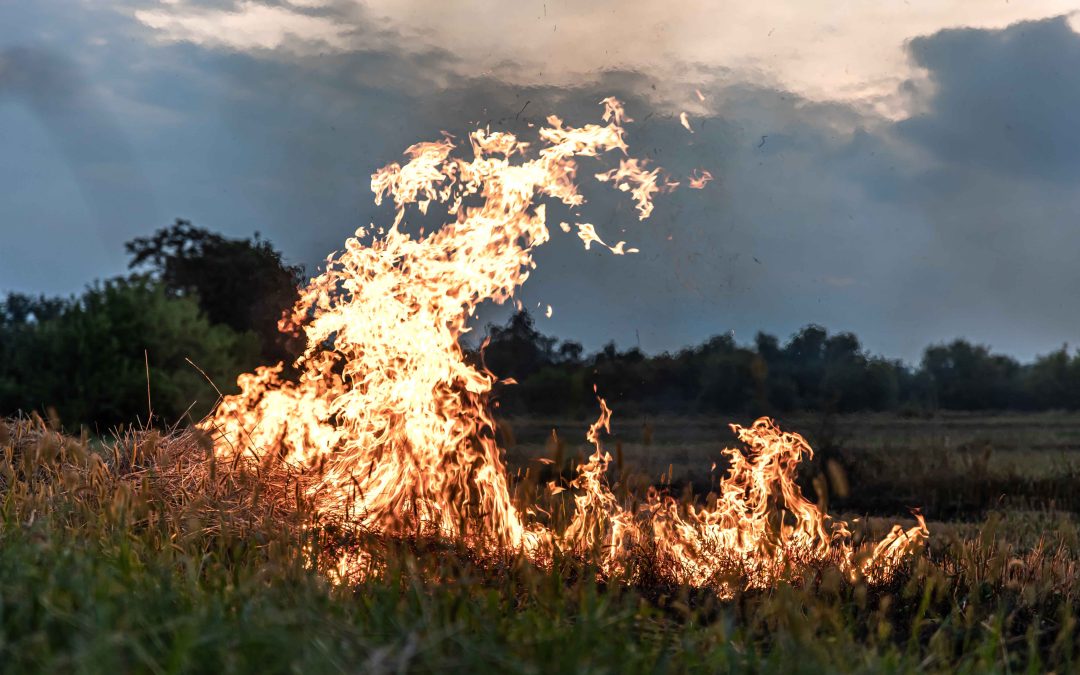 Territorios de la Región Central en emergencia por incendios: urge implementar un sistema de alertas tempranas