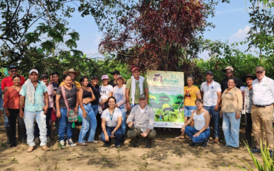 Fortalecen la producción ganadera sostenible y amigable con el medio ambiente, en el Meta