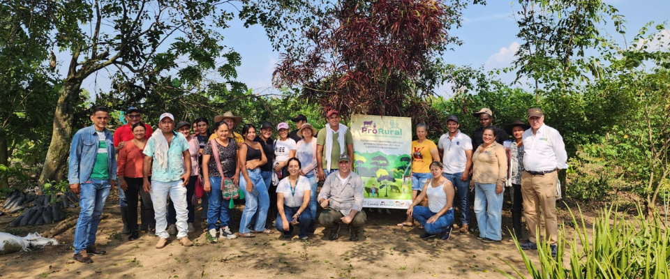 Fortalecen la producción ganadera sostenible y amigable con el medio ambiente, en el Meta