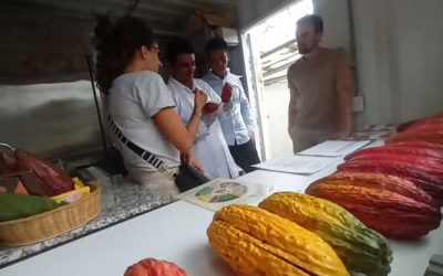 Huila finalista en el Concurso Nacional Cacao de Oro