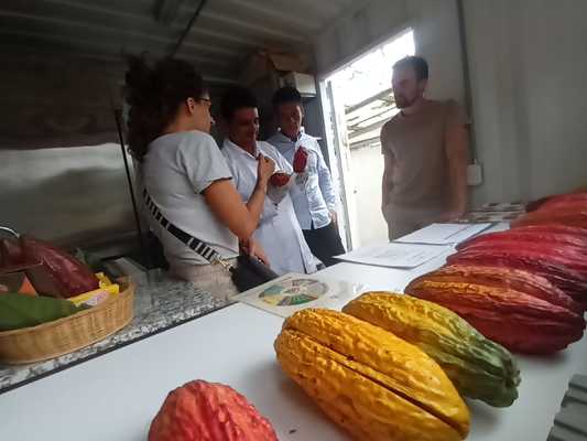 Huila finalista en el Concurso Nacional Cacao de Oro