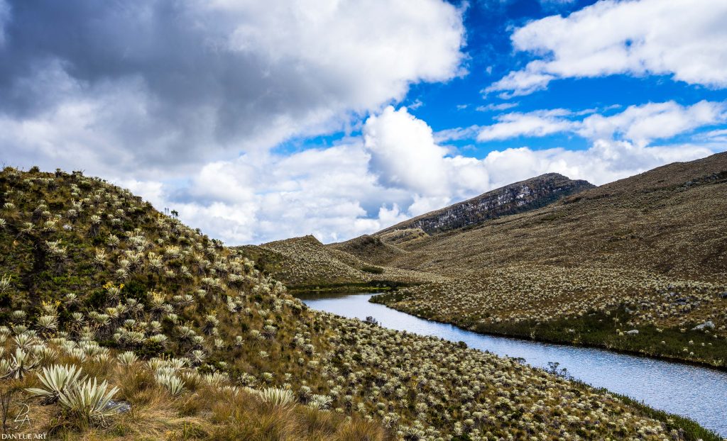 Corredor de Páramos, un proyecto clave para ordenar el territorio en torno al agua en la Región Central