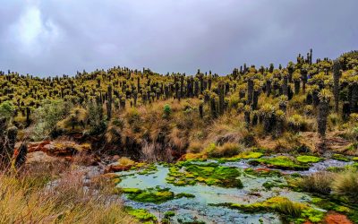 Corredor de Páramos, un proyecto clave para ordenar el territorio en torno al agua en la Región Central