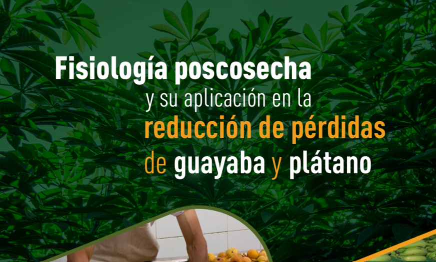 Fisiología poscosecha