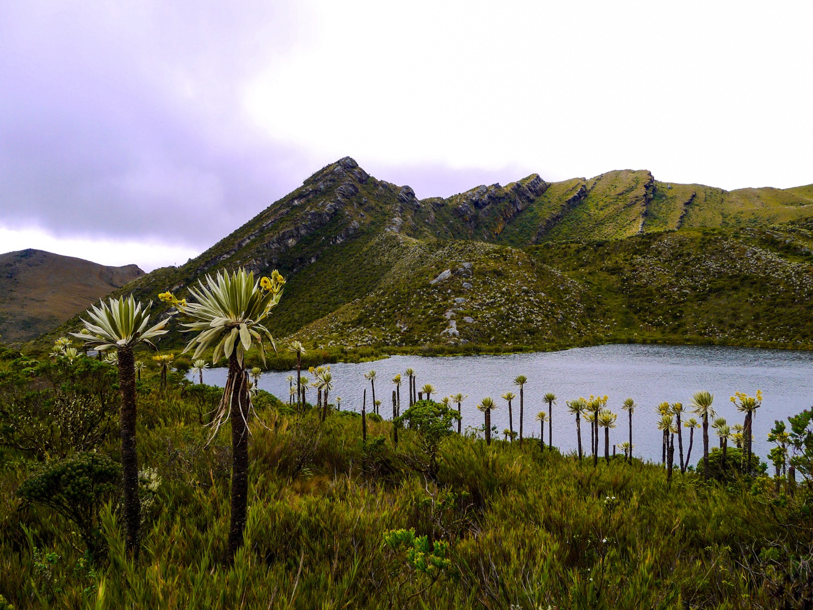 Corredor de Páramos, proyecto clave para ordenar el territorio en torno al agua