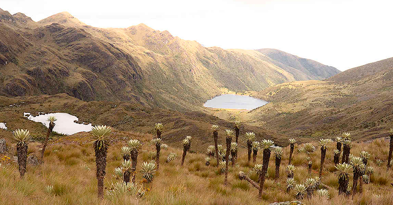 https://www.agenciapi.co/noticia/deportes/reactivan-circuito-bici-bogota-region-que-conecta-bogota-con-15-municipios-de-cundinamarca#google_vignette