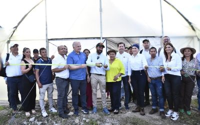 Gobernación le apuesta a la agroindustrialización para potencializar caficultura huilense