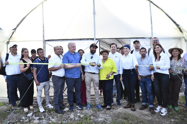 Gobernación le apuesta a la agroindustrialización para potencializar caficultura huilense