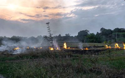 La Región Central en alerta: disminuyen niveles de embalses y aumentan riesgos de incendios