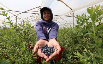 La Región Central construye seguridad alimentaria: un compromiso clave en el Día Mundial de la Nutrición
