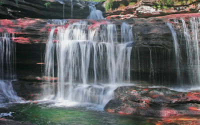 Caño Cristales florece y abre su temporada: La Macarena recibe al mundo con su río de 7 colores