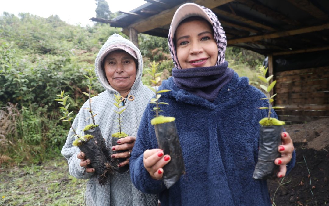 Secretaría de Ambiente y Desarrollo Sostenible de Boyacá fortalece la resiliencia de los páramos