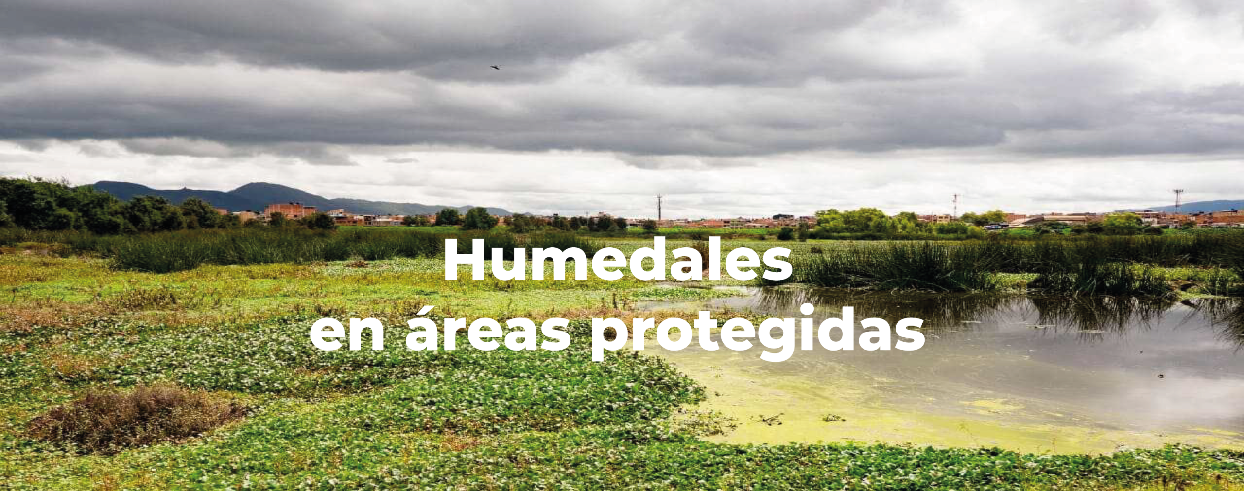 Humedales MADS V2 2020 versus Areas Protegidas Humedales MADS V2 2020 versus Areas Protegidas