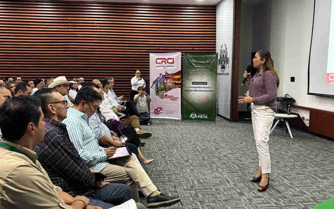 El Meta le apuesta a construir un futuro más innovador y competitivo