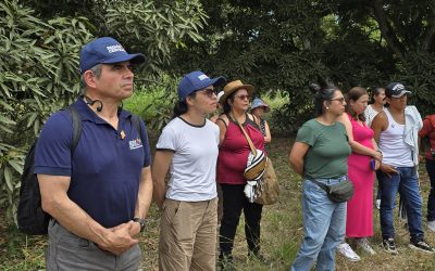 RAP-E lideró el primer seminario de Ciencia e Innovación para transformar la cadena del mango en la Región Central