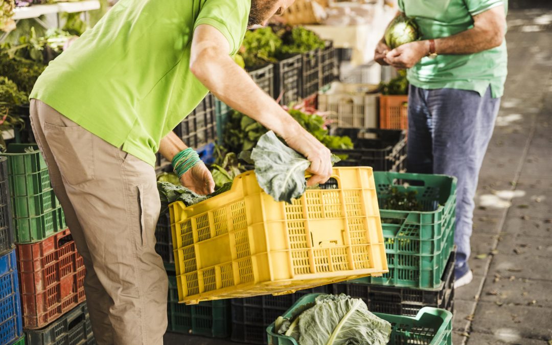 RAP-E y Universidad Distrital unen ciencia y territorio para fortalecer la logística agroalimentaria de la Región Central