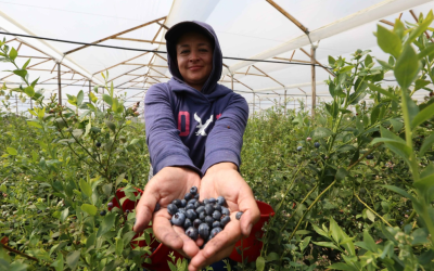 La Región Central RAP-E impulsa estrategias para dignificar y fortalecer la sostenibilidad rural