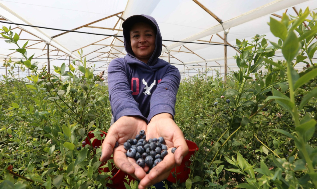 La Región Central RAP-E impulsa estrategias para dignificar y fortalecer la sostenibilidad rural