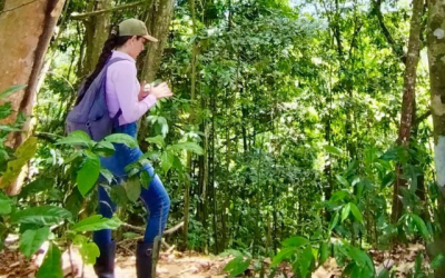 Cubarral lidera la protección ambiental en el Meta con más de 50 acuerdos voluntarios de PSA