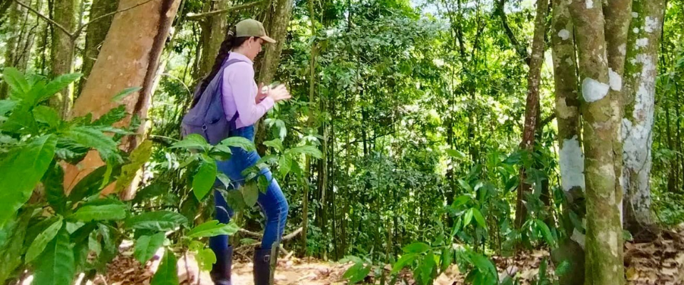 Cubarral lidera la protección ambiental en el Meta con más de 50 acuerdos voluntarios de PSA