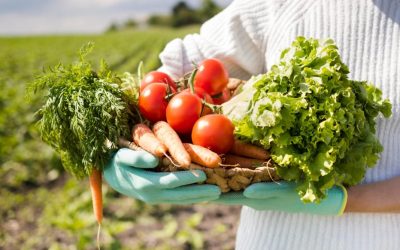 Gran oportunidad académica en la Región Central: Diplomado gratuito en Corredores Logísticos Regionales