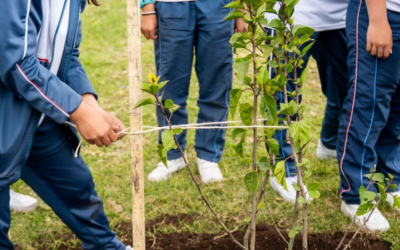 200 árboles nativos fueron plantados en Bosa para mejorar la calidad del aire