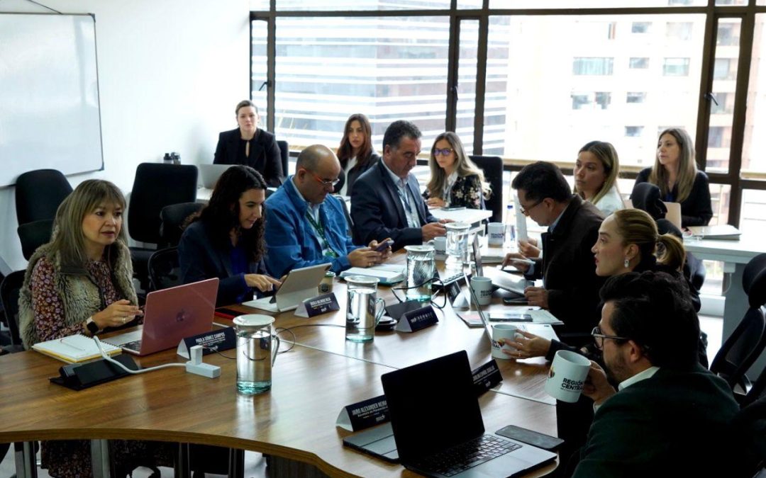 Aprobado el Plan Regional de Ejecución 2025-2028 de la RAP-E Región Central