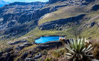 Guardianes del agua: nueve comunidades inspiran con su defensa hídrica en la Región Central