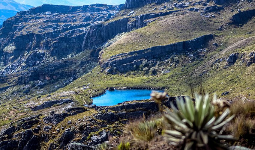 Guardianes del agua: nueve comunidades inspiran con su defensa hídrica en la Región Central