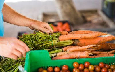 El agro avanza: RAP-E y Logyca ofrecen cursos virtuales gratuitos para productores y emprendedores de la Región Central