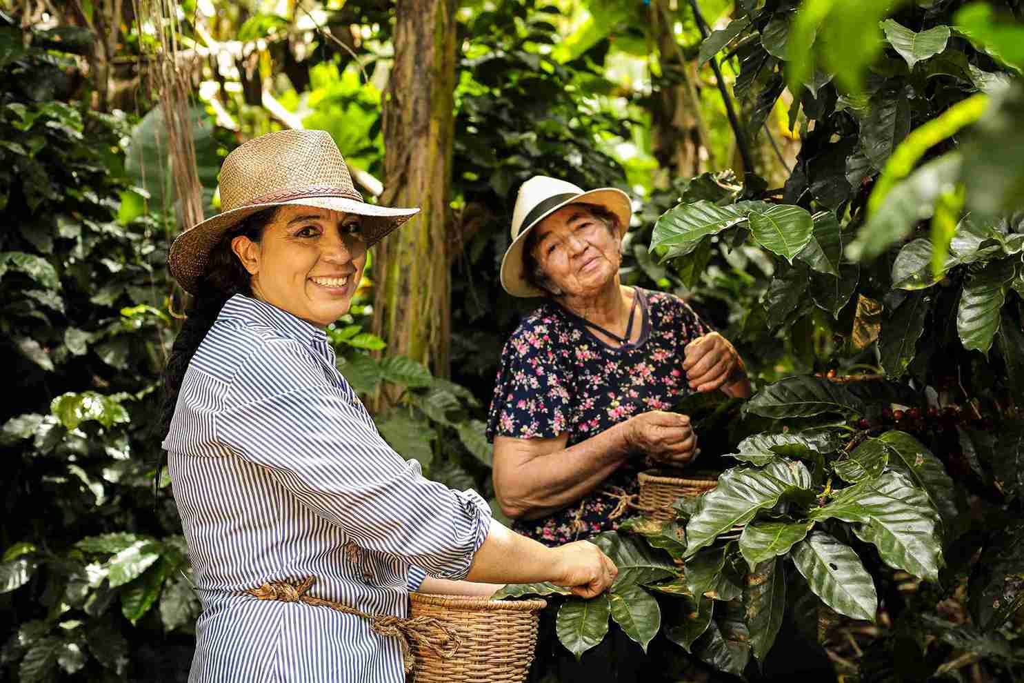 Seguridad Alimentaria y Desarrollo Rural