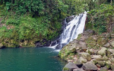 La RAP-E Región Central lanza 12 visores de biodiversidad y seguridad hídrica al servicio de la ciudadanía