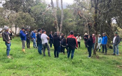 En Guasca se fortalecen capacidades locales para restaurar ecosistemas estratégicos y adaptación al cambio climático