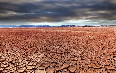 La RAP-E impulsa territorios más resilientes frente al cambio climático